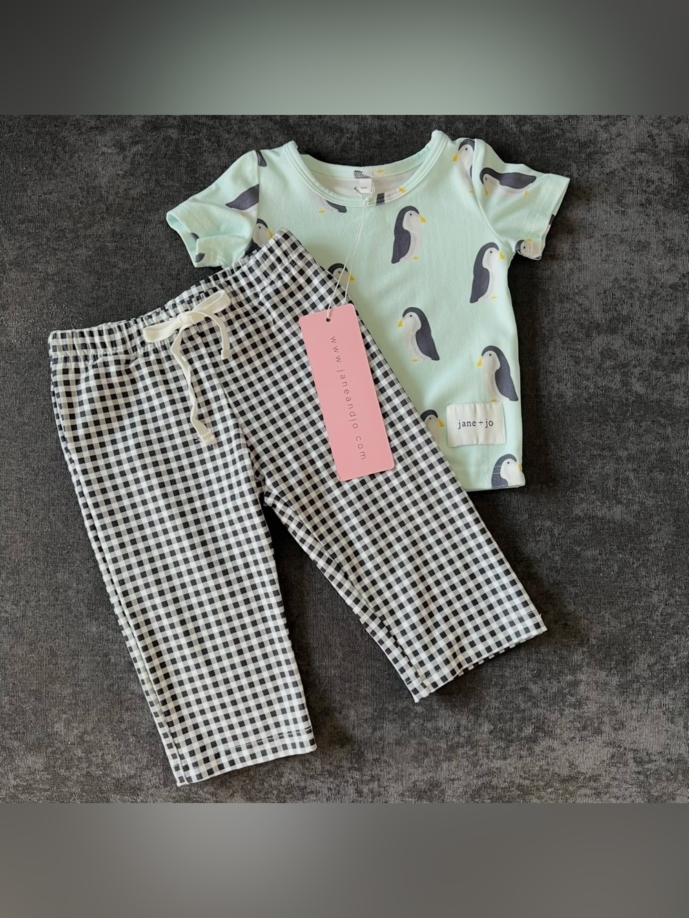 NWT Jane + Jo Kids 2 Piece Pajama Set in Penguin Waddle Size 12 Months